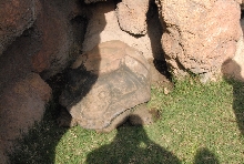 Chiricahua Desert Museum and ABQ Bio Park