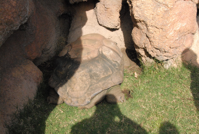 Chiricahua Desert Museum and ABQ Bio Park