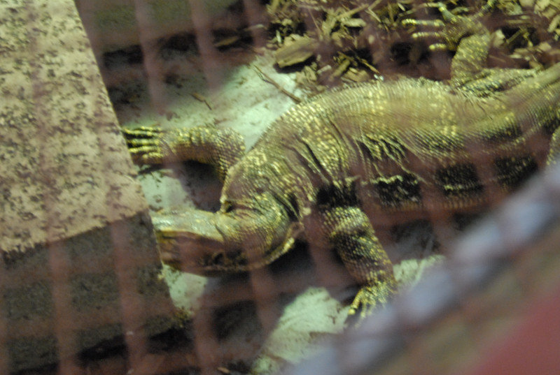 Chiricahua Desert Museum and ABQ Bio Park