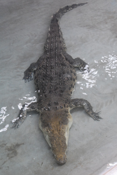 Chiricahua Desert Museum and ABQ Bio Park