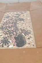 Chiricahua Desert Museum and ABQ Bio Park