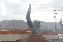 Chiricahua Desert Museum and ABQ Bio Park