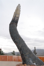 Chiricahua Desert Museum and ABQ Bio Park