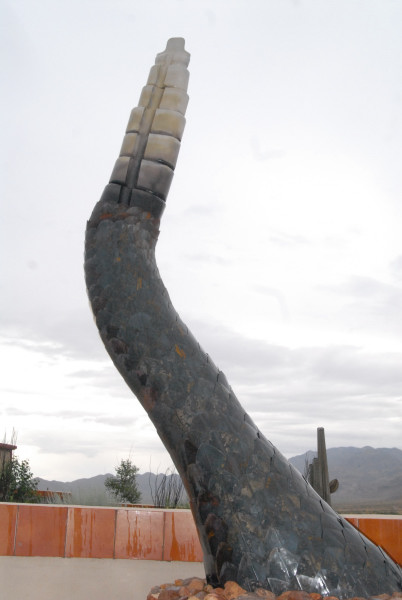 Chiricahua Desert Museum and ABQ Bio Park