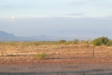 Chiricahua Desert Museum and ABQ Bio Park