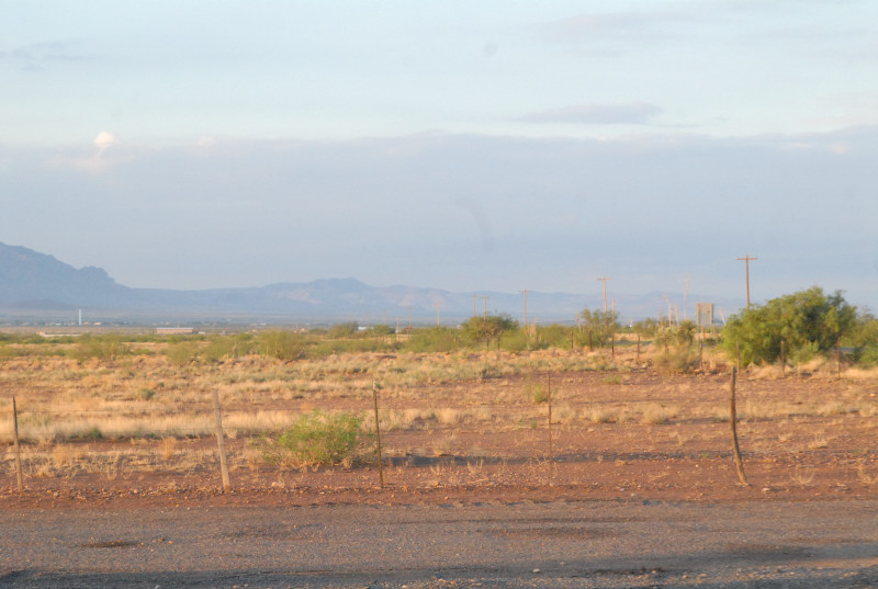 Chiricahua Desert Museum and ABQ Bio Park
