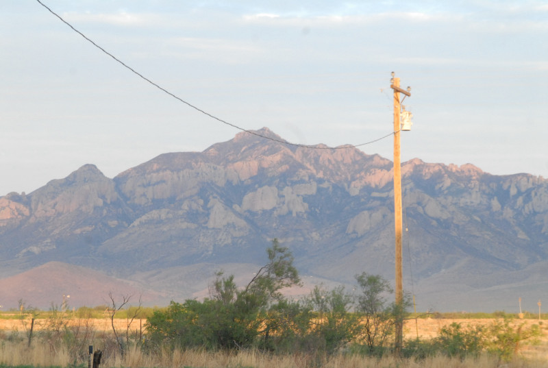 Chiricahua Desert Museum and ABQ Bio Park
