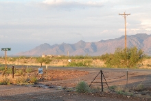 Chiricahua Desert Museum and ABQ Bio Park