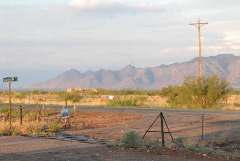 Chiricahua Desert Museum and ABQ Bio Park