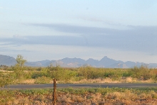 Chiricahua Desert Museum and ABQ Bio Park