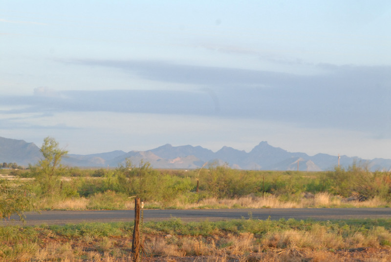Chiricahua Desert Museum and ABQ Bio Park