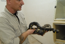 Chiricahua Desert Museum and ABQ Bio Park