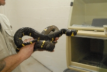 Chiricahua Desert Museum and ABQ Bio Park