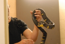Chiricahua Desert Museum and ABQ Bio Park
