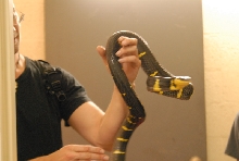 Chiricahua Desert Museum and ABQ Bio Park