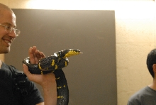 Chiricahua Desert Museum and ABQ Bio Park