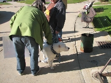 Demonstration against Dog Fighting April 26, 2010