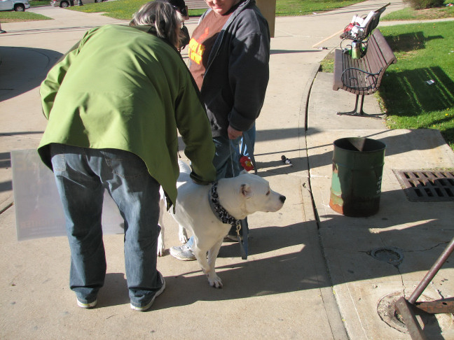 Demonstration against Dog Fighting April 26, 2010
