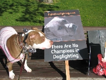 Demonstration against Dog Fighting April 26, 2010