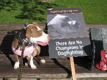 Demonstration against Dog Fighting April 26, 2010