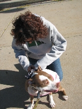 Demonstration against Dog Fighting April 26, 2010