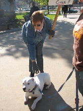 Demonstration against Dog Fighting April 26, 2010