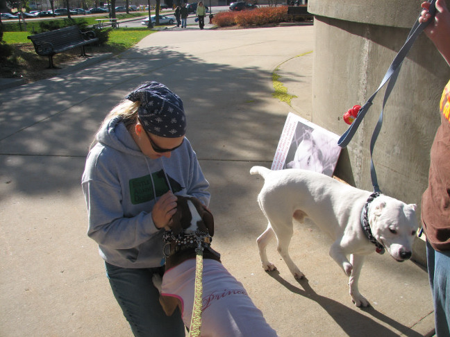 Demonstration against Dog Fighting April 26, 2010