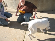 Demonstration against Dog Fighting April 26, 2010
