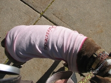 Demonstration against Dog Fighting April 26, 2010