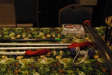 Biology of the Rattlesnakes 2011