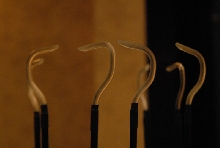 Biology of the Rattlesnakes 2011