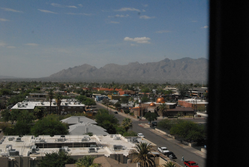Biology of the Rattlesnakes 2011