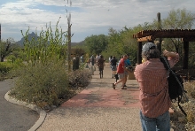 Biology of the Rattlesnakes 2011