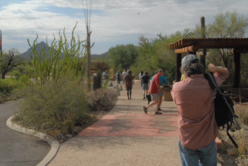 Biology of the Rattlesnakes 2011