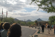 Biology of the Rattlesnakes 2011