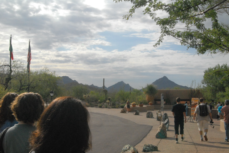 Biology of the Rattlesnakes 2011