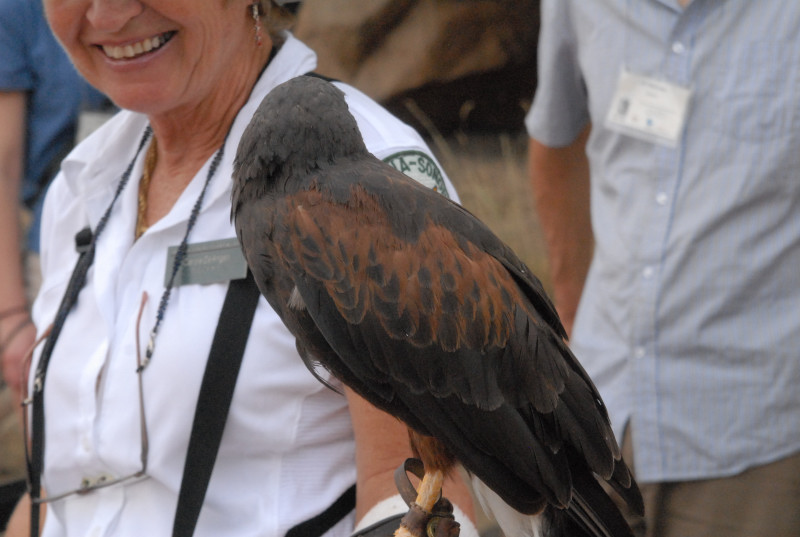 Biology of the Rattlesnakes 2011