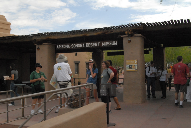 Biology of the Rattlesnakes 2011