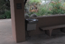 Biology of the Rattlesnakes 2011