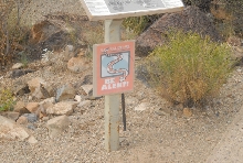 Biology of the Rattlesnakes 2011