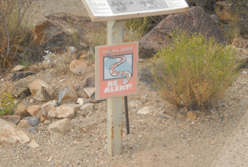 Biology of the Rattlesnakes 2011