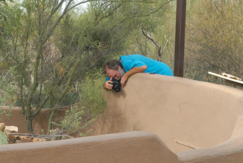 Biology of the Rattlesnakes 2011