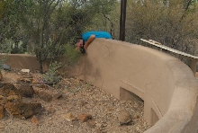Biology of the Rattlesnakes 2011