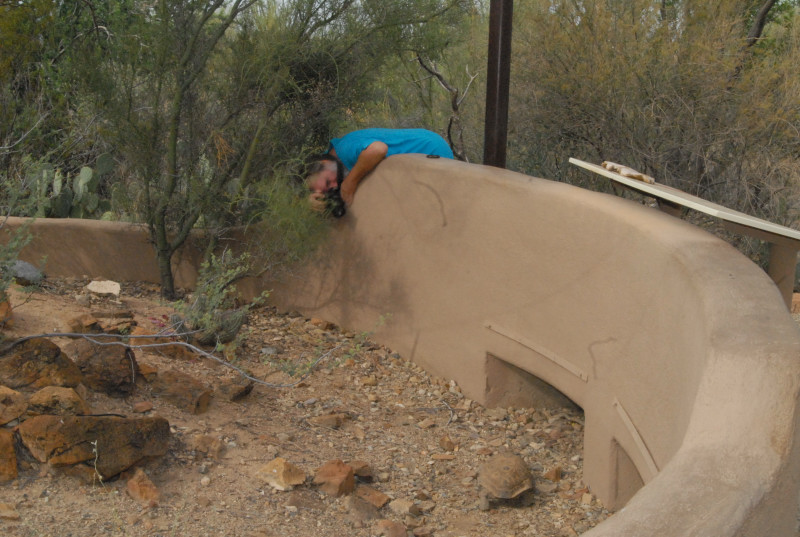 Biology of the Rattlesnakes 2011