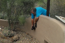 Biology of the Rattlesnakes 2011