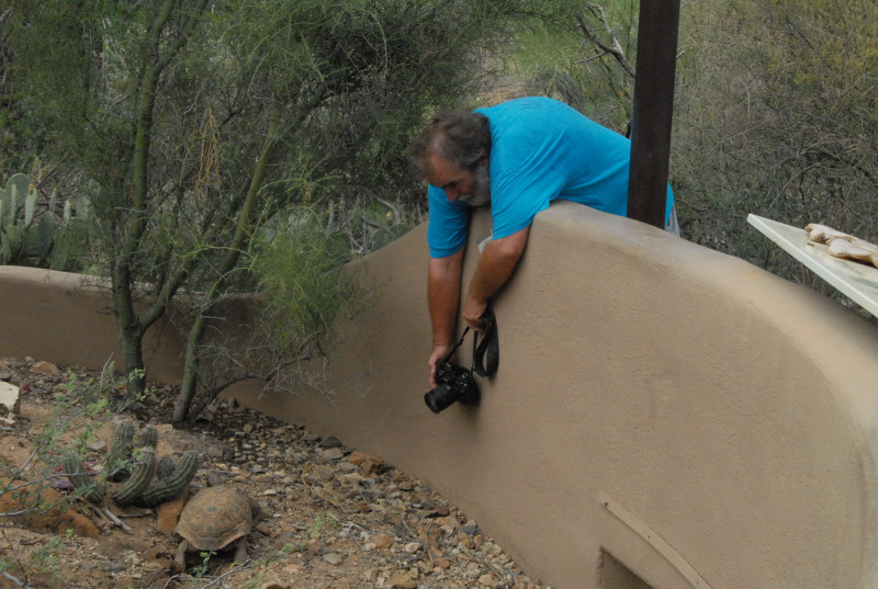Biology of the Rattlesnakes 2011