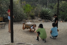 Biology of the Rattlesnakes 2011