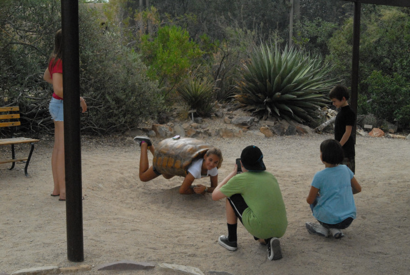 Biology of the Rattlesnakes 2011