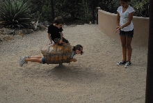 Biology of the Rattlesnakes 2011