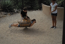 Biology of the Rattlesnakes 2011